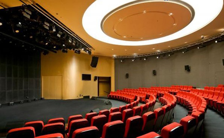 浙江麗水文化藝術中心木質吸音板聲學工程